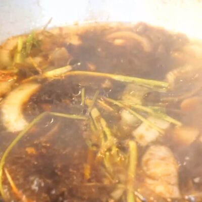 Trộn sốt: